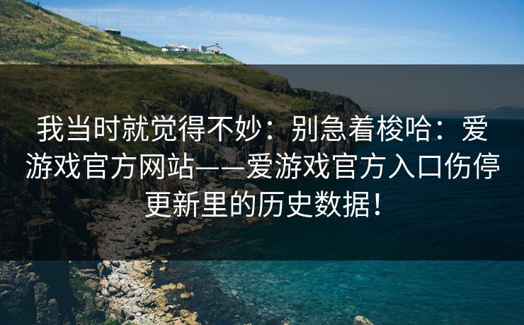 我当时就觉得不妙：别急着梭哈：爱游戏官方网站——爱游戏官方入口伤停更新里的历史数据！