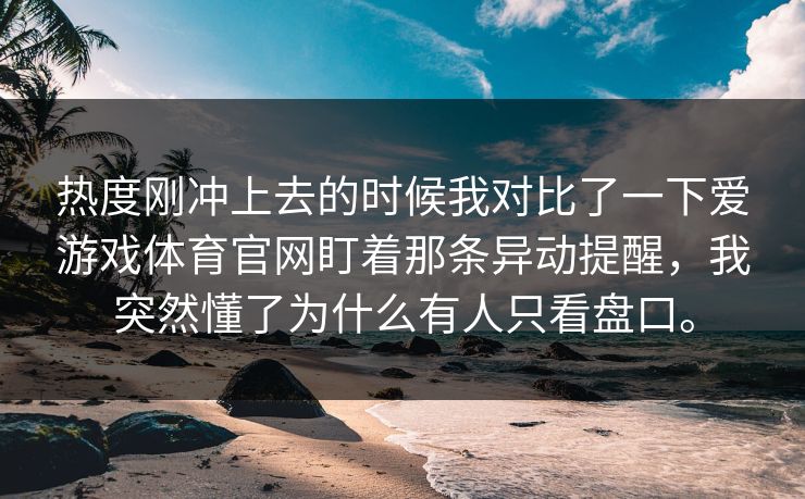 热度刚冲上去的时候我对比了一下爱游戏体育官网盯着那条异动提醒，我突然懂了为什么有人只看盘口。