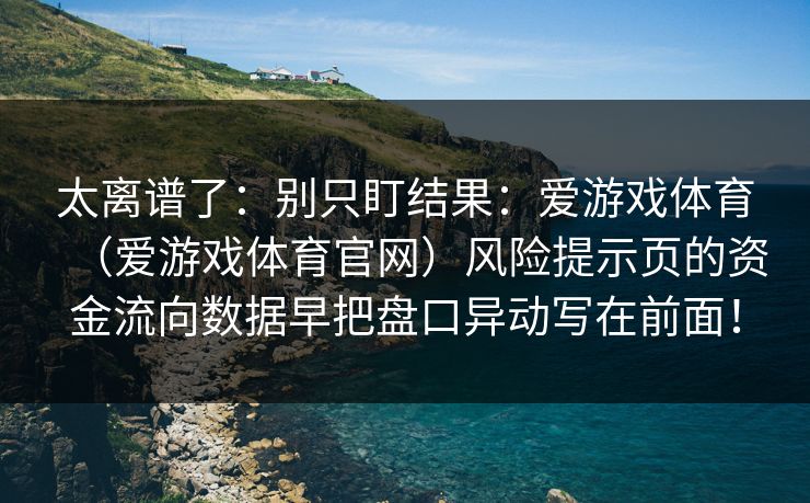 太离谱了：别只盯结果：爱游戏体育（爱游戏体育官网）风险提示页的资金流向数据早把盘口异动写在前面！